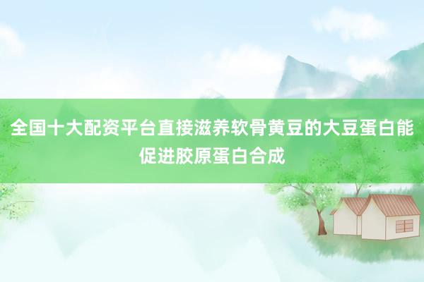 全国十大配资平台直接滋养软骨黄豆的大豆蛋白能促进胶原蛋白合成