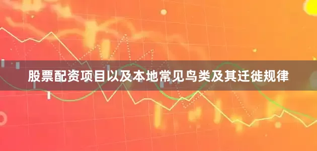 股票配资项目以及本地常见鸟类及其迁徙规律