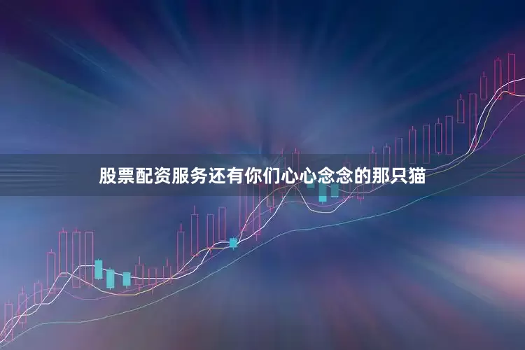 股票配资服务还有你们心心念念的那只猫