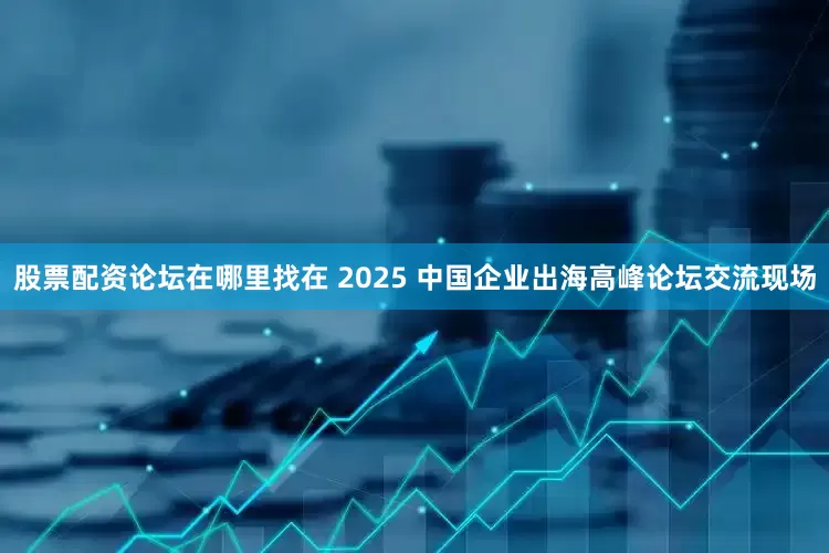 股票配资论坛在哪里找在 2025 中国企业出海高峰论坛交流现场