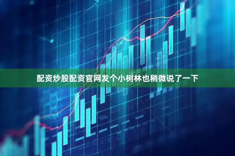 配资炒股配资官网发个小树林也稍微说了一下