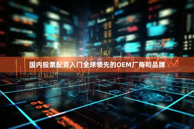 国内股票配资入门全球领先的OEM厂商和品牌