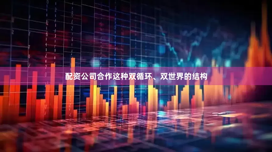 配资公司合作这种双循环、双世界的结构